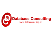 dataconsulting